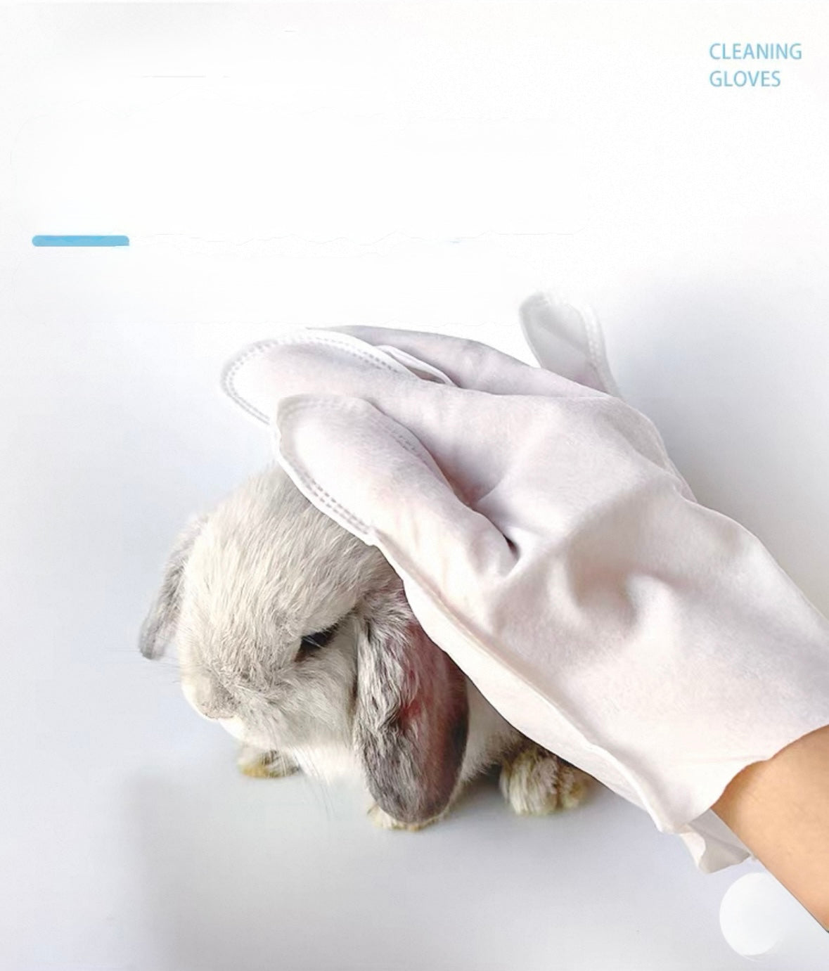 White cleaning glove gently wiping a gray lop-eared rabbit against a white background
