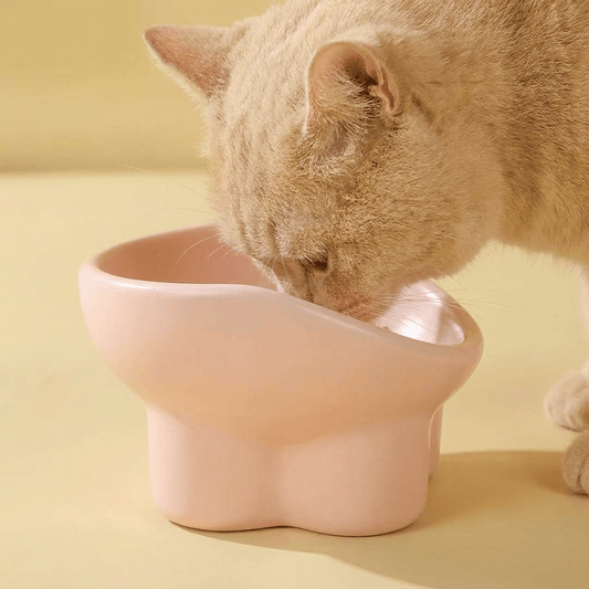 Creamy Pink Ergonomic Pet Bowl - OKIEEPET