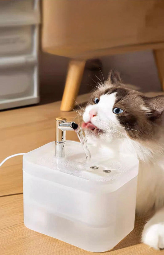 Pet Water Fountain – Running Tap Design - OKIEEPET