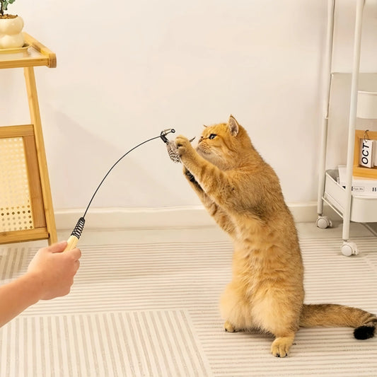 Cat Teaser Wand with 3 Replaceable Bug Feather Heads