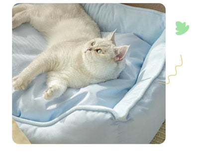 Light cream cat lounging on a soft blue pet bed with raised edges in natural light