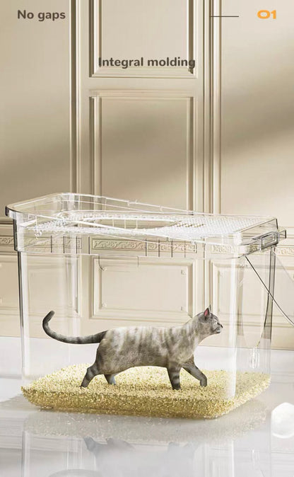 Transparent cat litter box with integral molding and no gaps containing a gray tabby cat