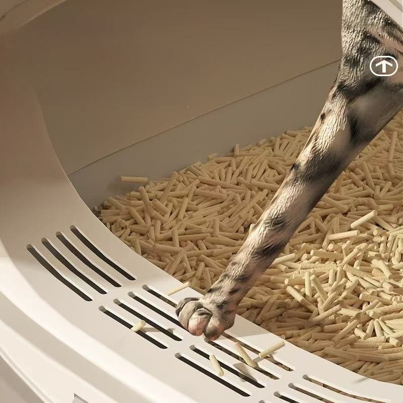 Close-up of a cat's paw stepping on a white, modern litter box with biodegradable pellet litter
