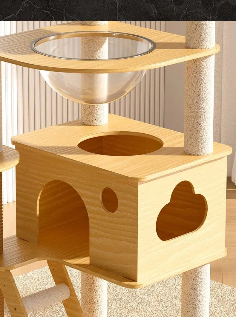 Modern wooden cat tree with cloud-shaped window, circular entrance, and clear plastic bubble bed
