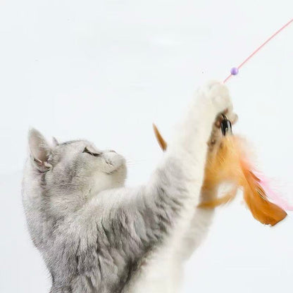 Feather Cat Teaser Wand with 3 Replacement Heads