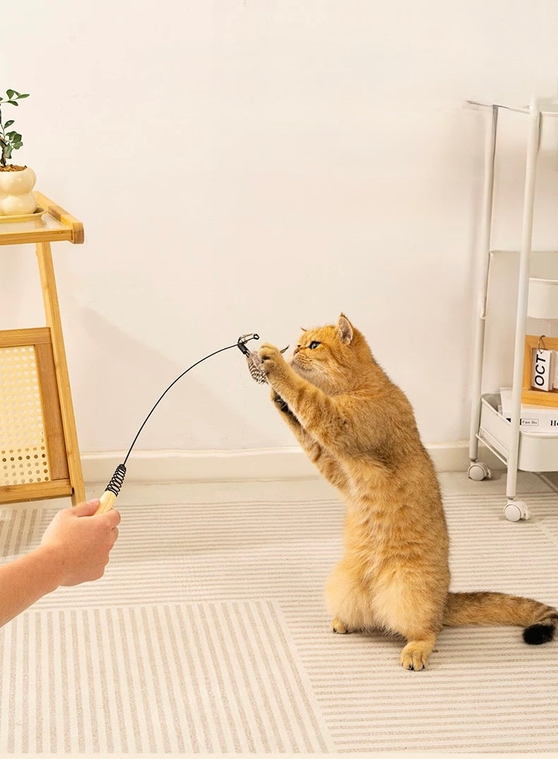 Cat Teaser Wand with 3 Replaceable Bug Feather Heads