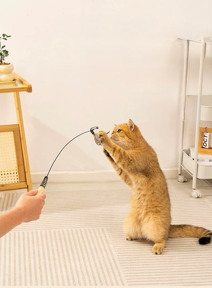 Cat Teaser Wand with 3 Replaceable Bug Feather Heads