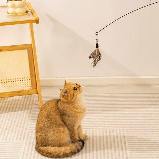 Cat Teaser Wand with 3 Replaceable Bug Feather Heads