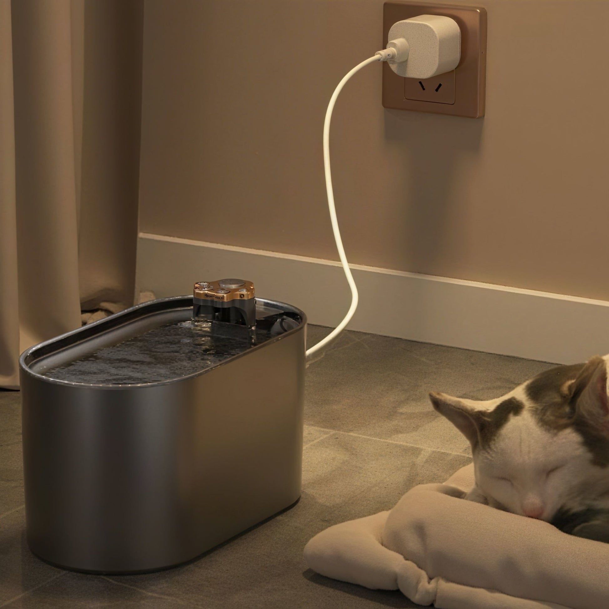 Aster Pebble Pet Water Fountain - OKIEEPET