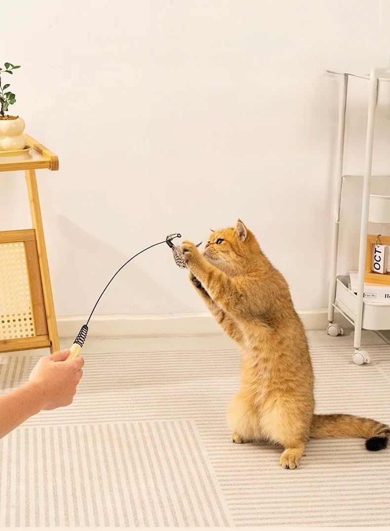 Cat Teaser Wand with 3 Replaceable Bug Feather Heads - OKIEEPET