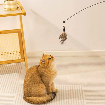 Cat Teaser Wand with 3 Replaceable Bug Feather Heads - OKIEEPET