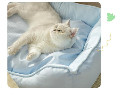 Comfortable Cute Shell Cat Bed - OKIEEPET