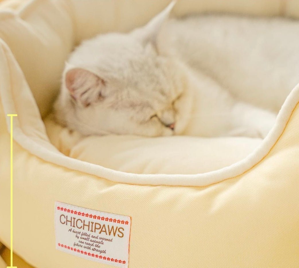 Comfortable Cute Shell Cat Bed - OKIEEPET