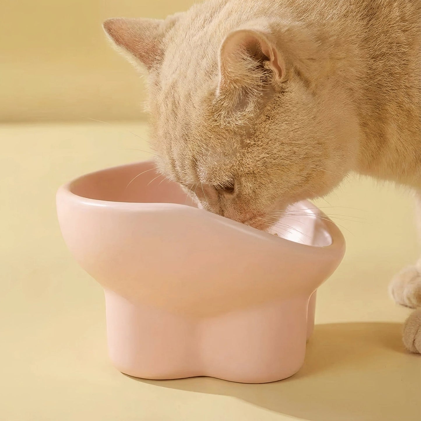 Creamy Pink Ergonomic Pet Bowl - OKIEEPET