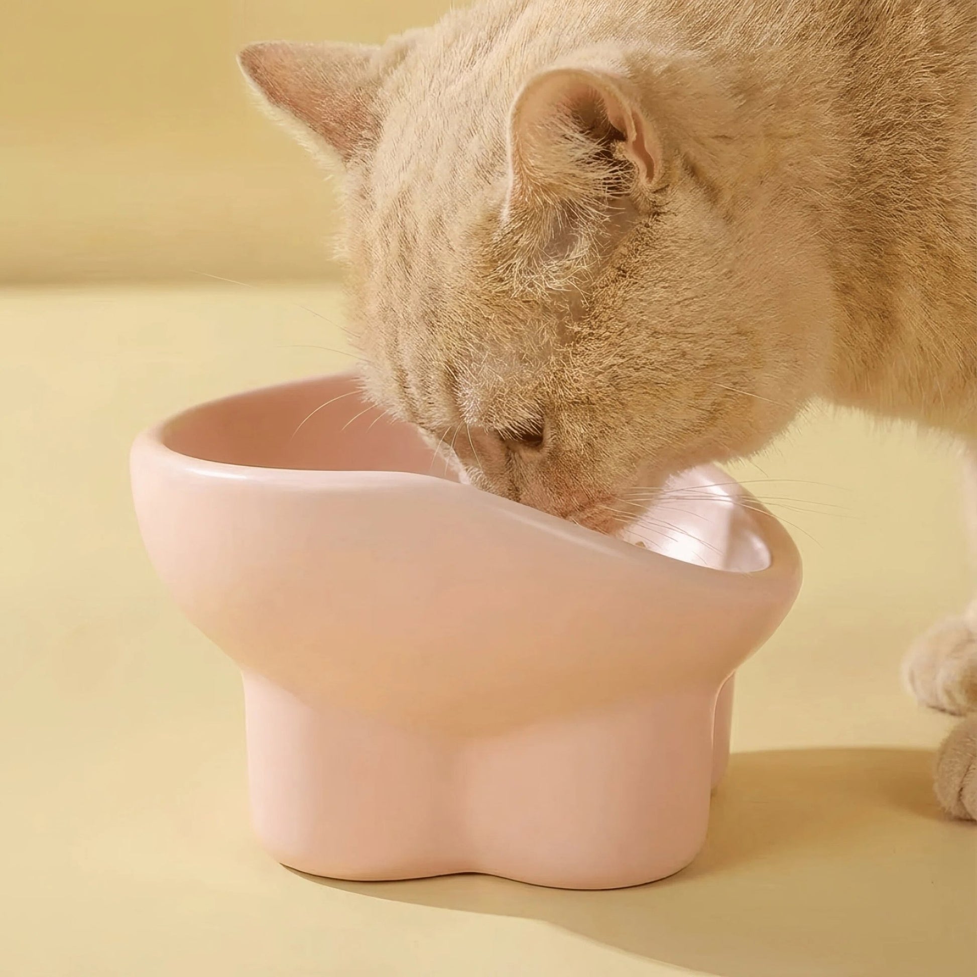 Creamy Pink Ergonomic Pet Bowl - OKIEEPET
