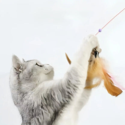 Feather Cat Teaser Wand with 3 Replacement Heads - OKIEEPET