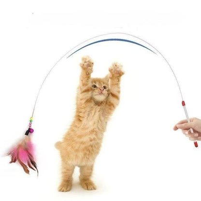 Feather Cat Teaser Wand with 3 Replacement Heads - OKIEEPET