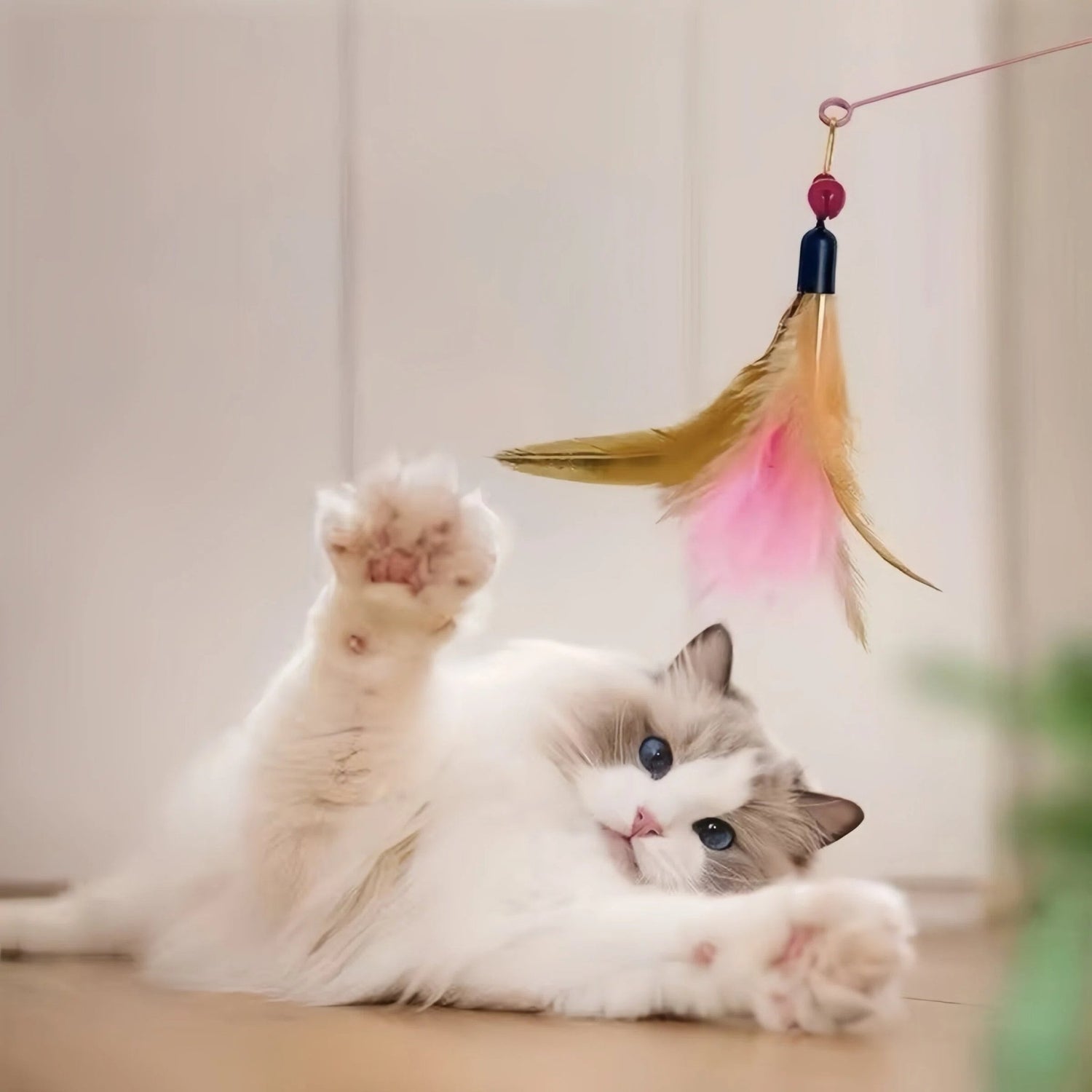 Feather Cat Teaser Wand with 3 Replacement Heads - OKIEEPET