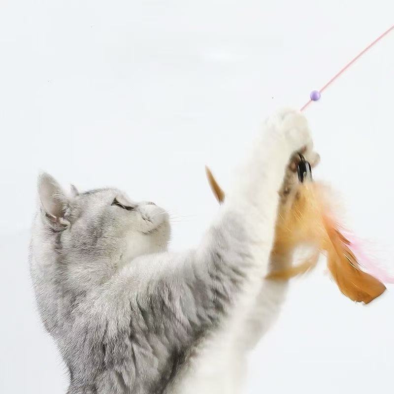 Feather Cat Teaser Wand with 3 Replacement Heads - OKIEEPET