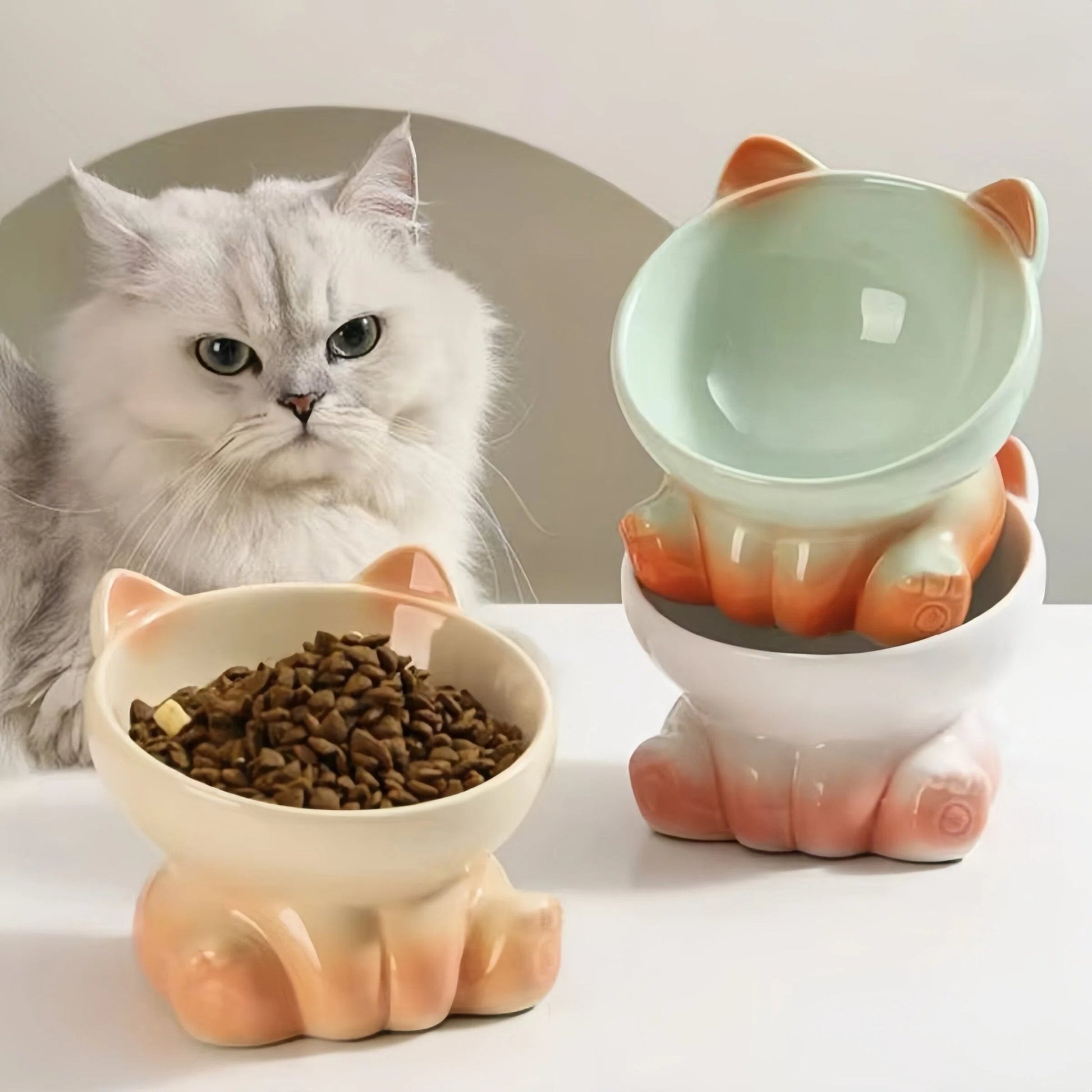 Gradient Ceramic Pet Bowl Ergonomic Anti - Spill - OKIEEPET