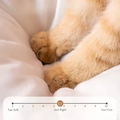 Plush Cat Cave Bed Soft Enclosed Pet Nest with Removable Cushion - OKIEEPET