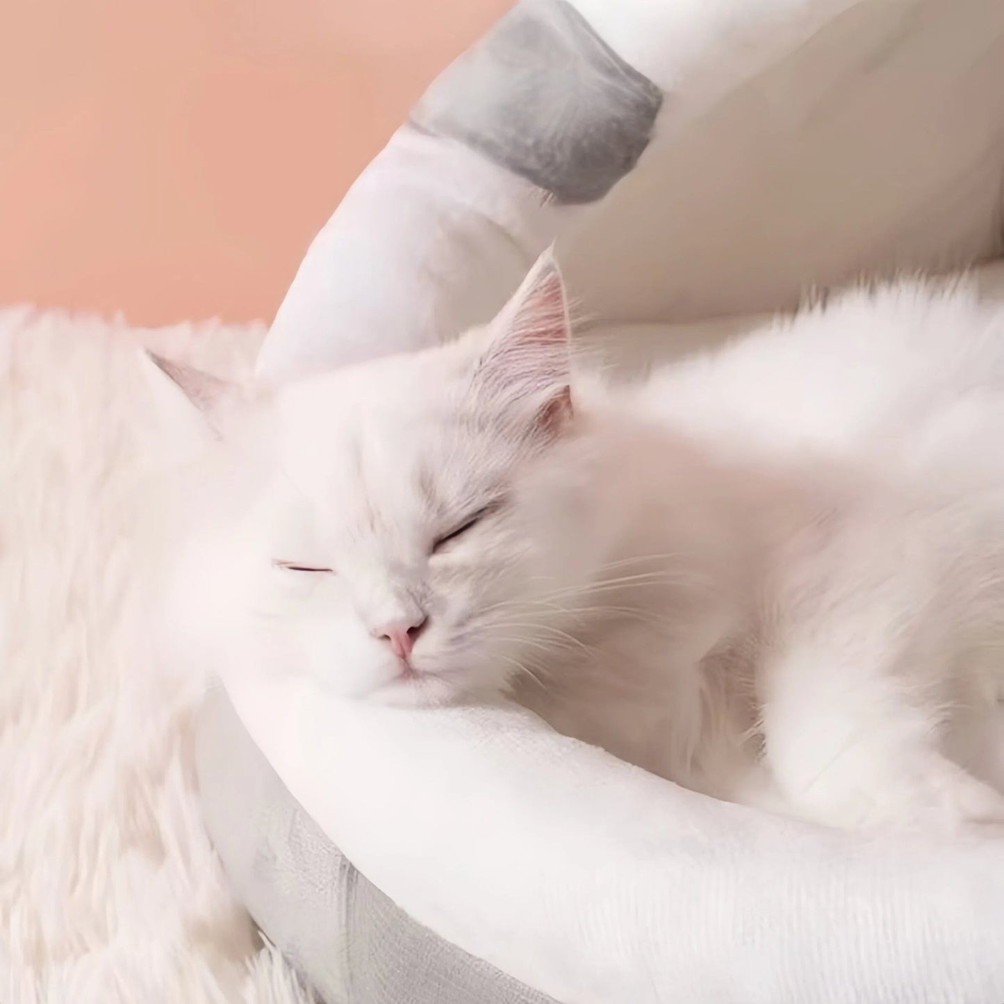 Plush Cat Cave Bed Soft Enclosed Pet Nest with Removable Cushion - OKIEEPET