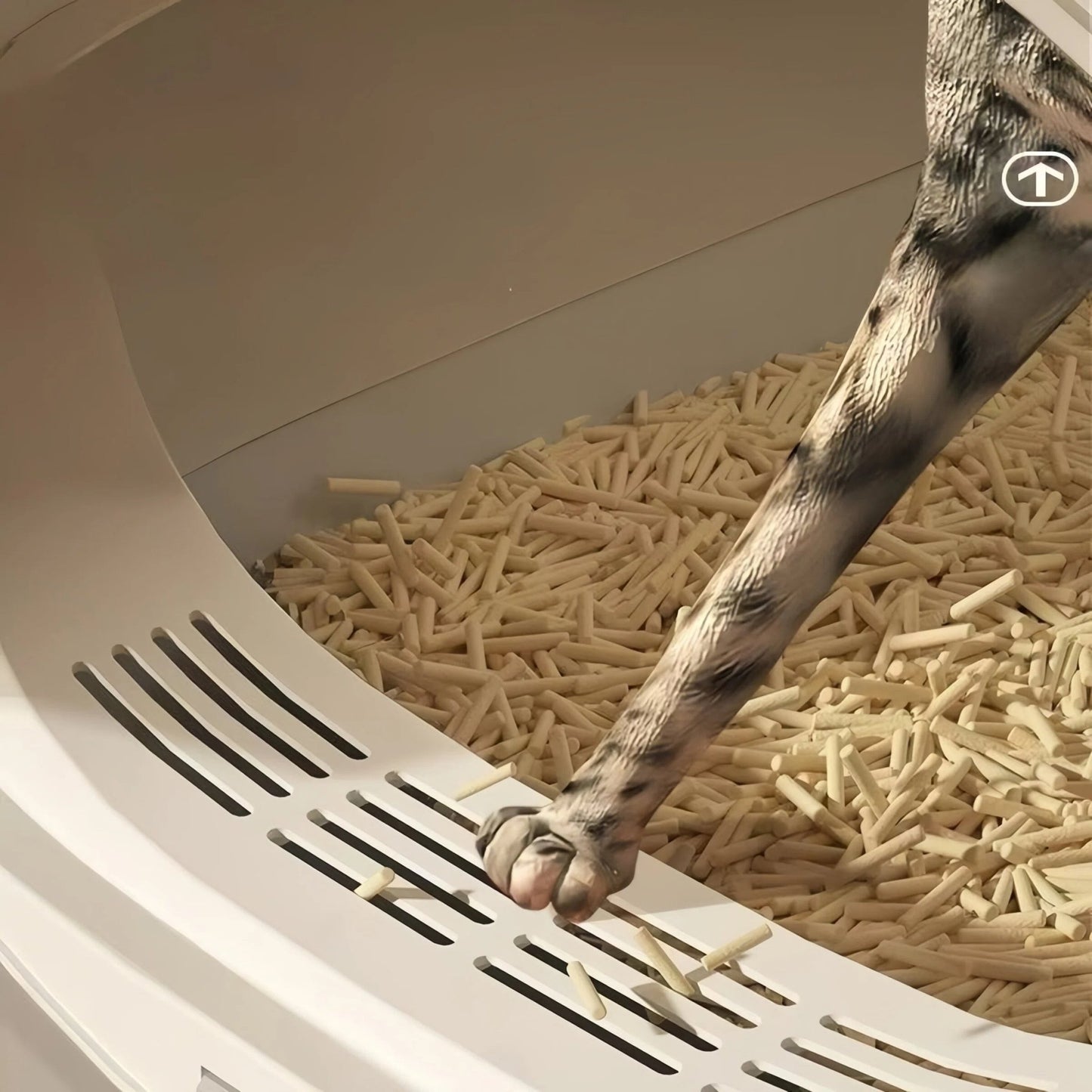 Portable Fully Enclosed Cat Litter Tray with Top Vent & Scoop 50×37×32cm - OKIEEPET