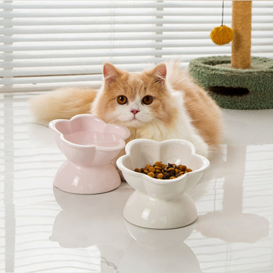Pre - Order: Elevated Tilted Ceramic Cat Bowl - OKIEEPET