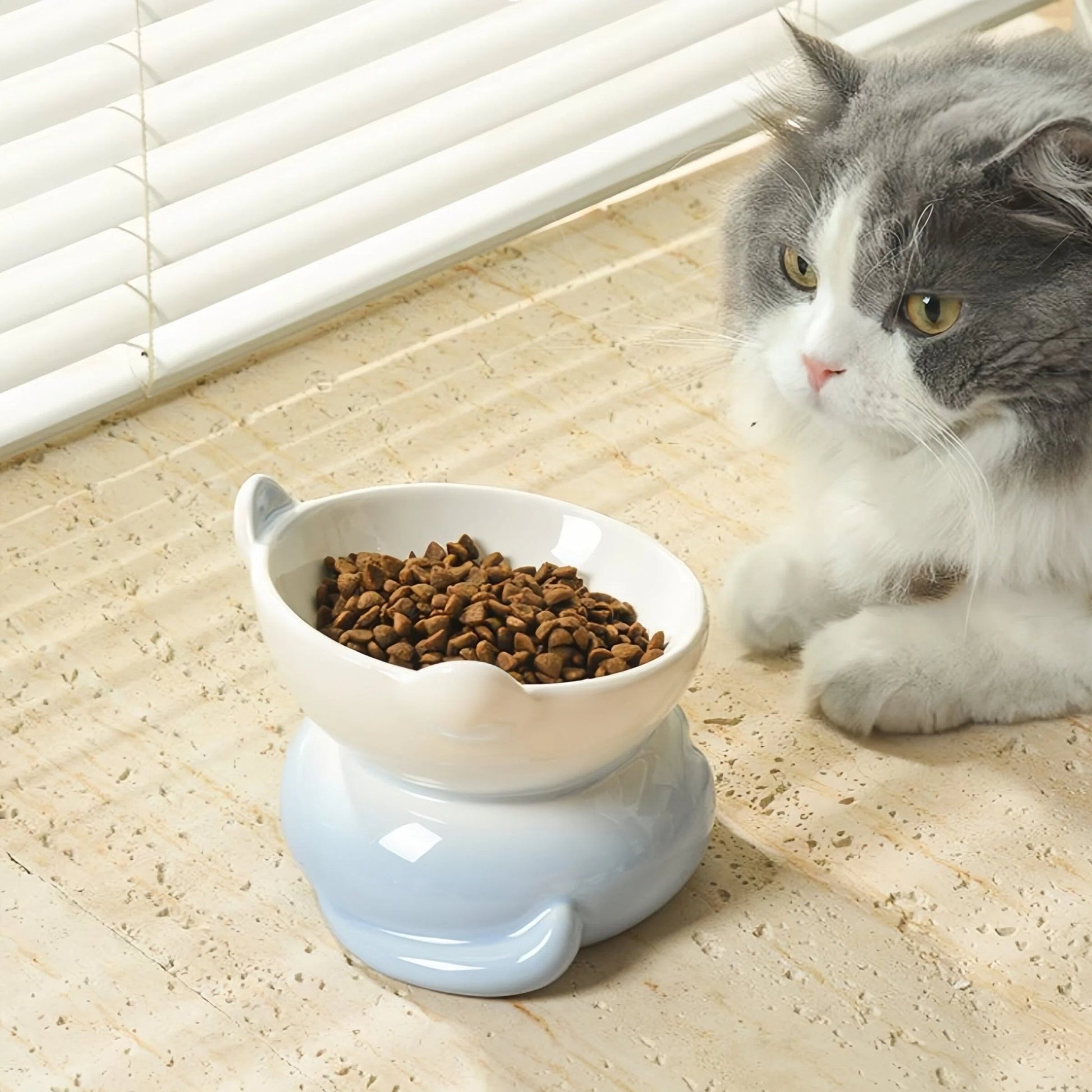 Pre - Order: Pastel Kitty Shaped Elevated Pet Bowl - OKIEEPET